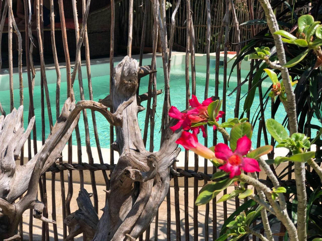 Zawadi Residence Watamu Esterno foto